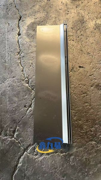 Stainless Steel Slot Drain Cover